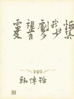 电视剧我怕来不及有多少集