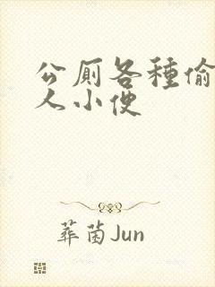 公厕各种偷拍女人小便