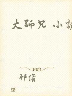 大师兄 小说封面