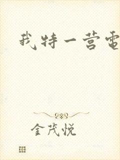 我特一营电视剧