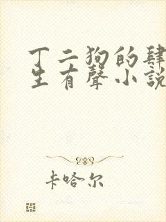 丁二狗的肆意人生有声小说免费