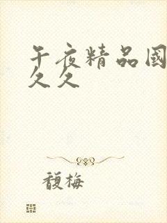 午夜精品国产久久久封面