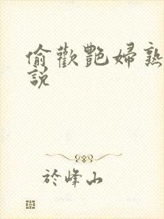 偷欢艳妇熟女小说封面