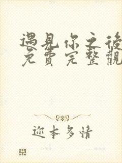 遇见你之后短剧免费完整观看高清