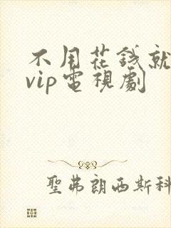 不用花钱就能看vip电视剧