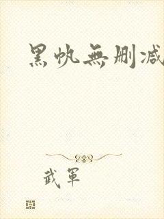 黑帆无删减版封面