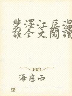 裴泽江辰温阮小说全文阅读