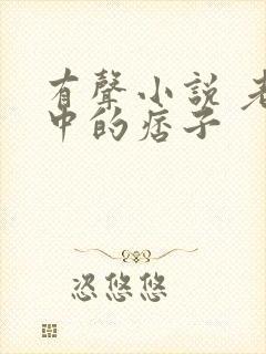 有声小说 老街中的痞子封面