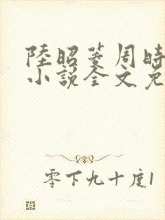 陆昭菱周时阅的小说全文免费阅读封面