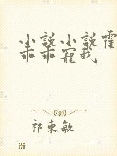 小说小说霍先生乖乖宠我