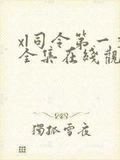 xl司令第一季全集在线观看完整