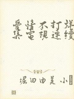 爱情不打烊36集电视连续剧