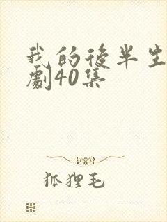 我的后半生电视剧40集