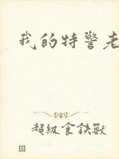 我的特警老婆