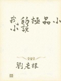 我的极品小姨的小说