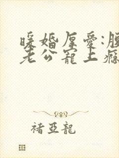 暖婚厚爱:腹黑老公宠上瘾小说