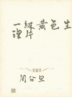 一级黄色生活伦理片封面