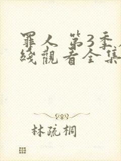 罪人 第3季在线观看全集免费播放