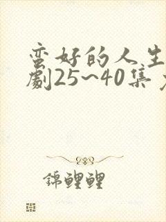 蛮好的人生电视剧25~40集免费封面