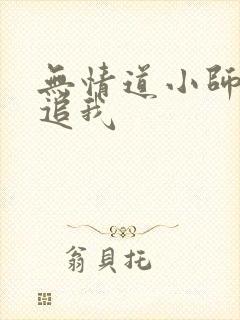 无情道小师弟倒追我