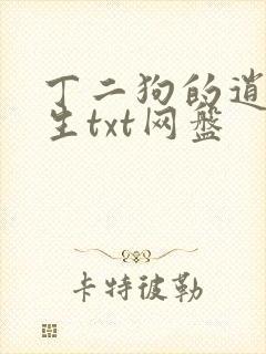 丁二狗的逍遥人生txt网盘