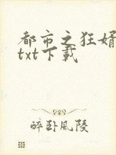 都市之狂婿战神txt下载