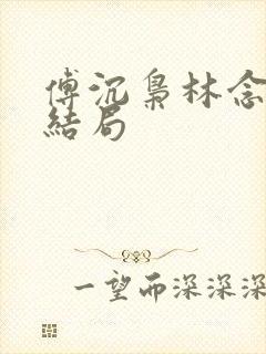 傅沉枭林念晚大结局封面