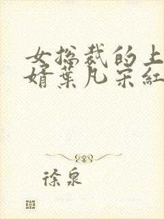 女总裁的上门女婿叶凡宋红颜封面