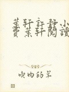 叶轩许静小说免费叶轩阅读全文阅读