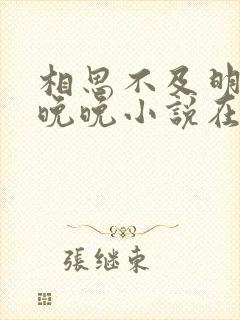 相思不及明月谢晚晚小说在线阅读