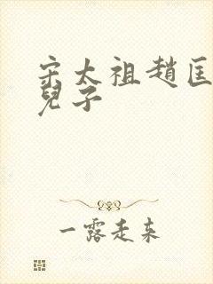 宋太祖赵匡胤的儿子