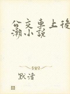 公交车上后入高潮小说