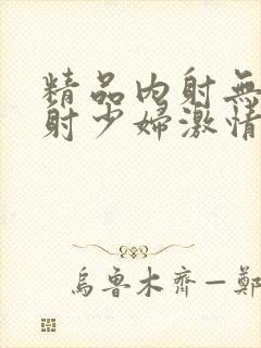 精品内射无套内射少妇激情