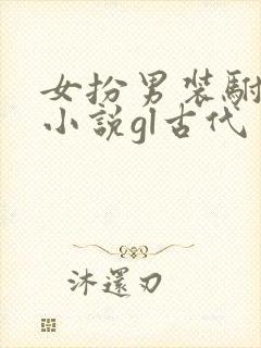 女扮男装驸马的小说gl古代