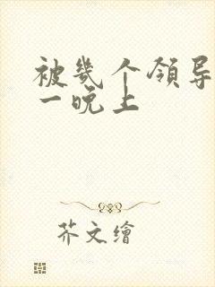 被几个领导玩弄一晚上