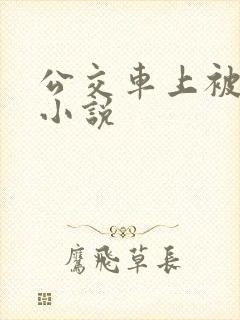 公交车上被摸逼小说