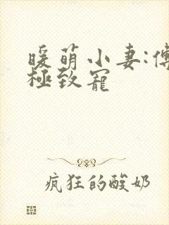 暖萌小妻:傅少极致宠