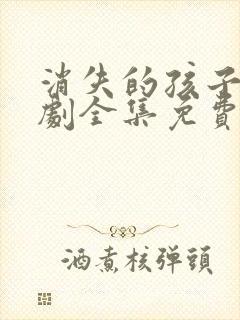 消失的孩子电视剧全集免费观看完整版封面