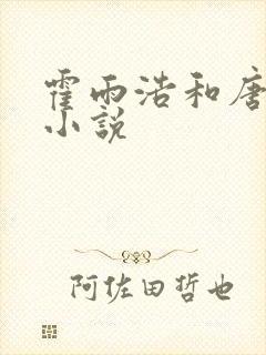 霍雨浩和唐舞桐小说