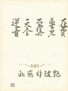 逆天至尊在线观看全集免费播放动漫