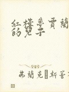 红楼梦贾兰是谁的儿子