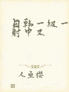 日韩一级一片内射中又