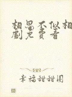 相思不似相逢短剧免费看