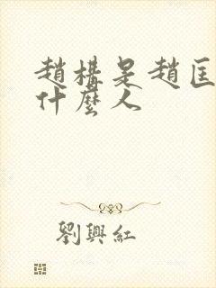 赵构是赵匡胤的什么人