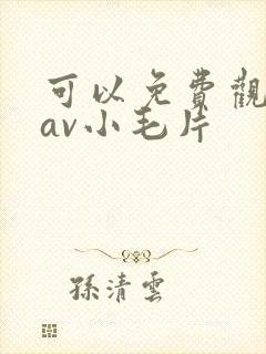 可以免费观看的av小毛片