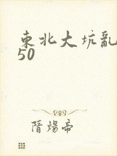 东北大坑乱1—50封面