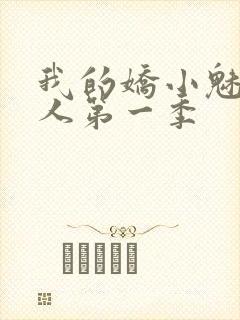 我的娇小魅魔仆人第一季