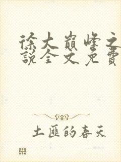 徐大巅峰之路小说全文免费阅读封面