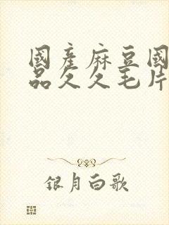 国产麻豆国精精品久久毛片