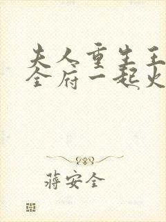 夫人重生王爷带全府一起火葬场的小说